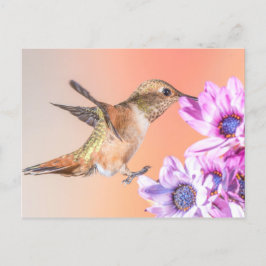 Orange Hummingbird & Lila blommor Vykort