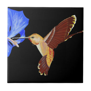 Orange Hummingbird och Blue Hibiscus Kakelplatta