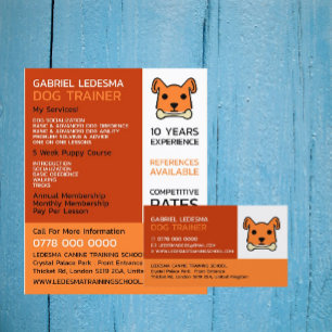 Orange Hund, Hund Trainer Advertising Flygblad