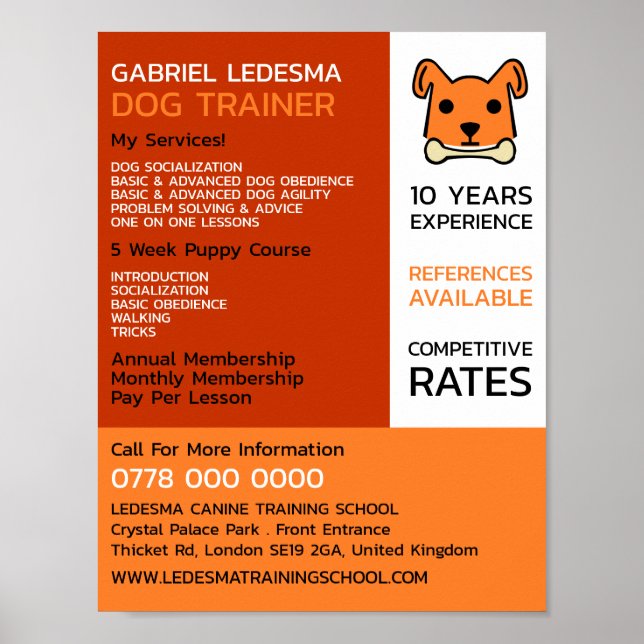 Orange Hund, Hund Trainer Advertising Poster (Framsidan)
