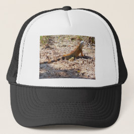 Orange Iguana-jakt Keps