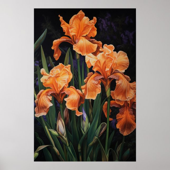 Orange Iris Blomma Konsttryck Poster (Framsidan)