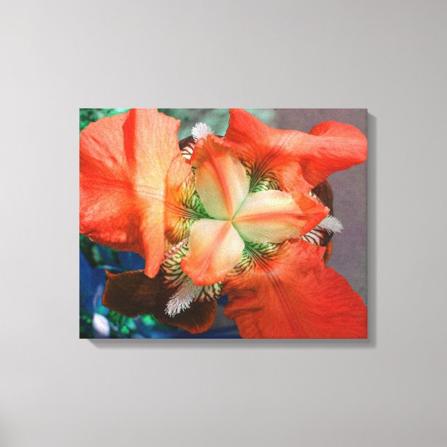 Orange Iris Canvas (Framsida)