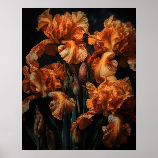 Orange Iris Flowers Art Print Poster (Framsidan)