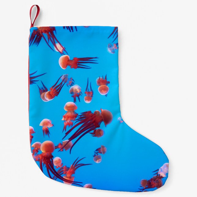 ORANGE JELLY FISH LITEN JULSTRUMPA (Framsidan)