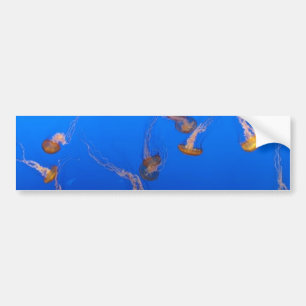 Orange Jellyfish Bumper Sticker Bildekal