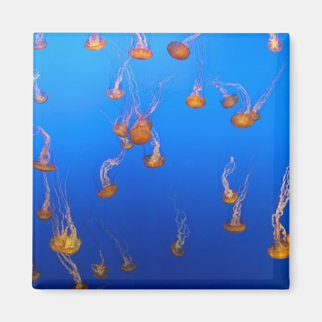 Orange Jellyfish Magnet (Framsidan)
