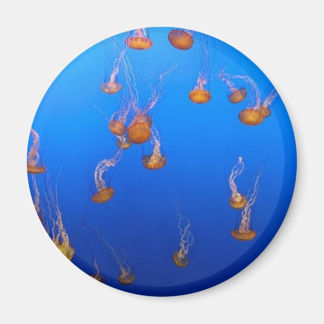 Orange Jellyfish Magnet (Framsidan)