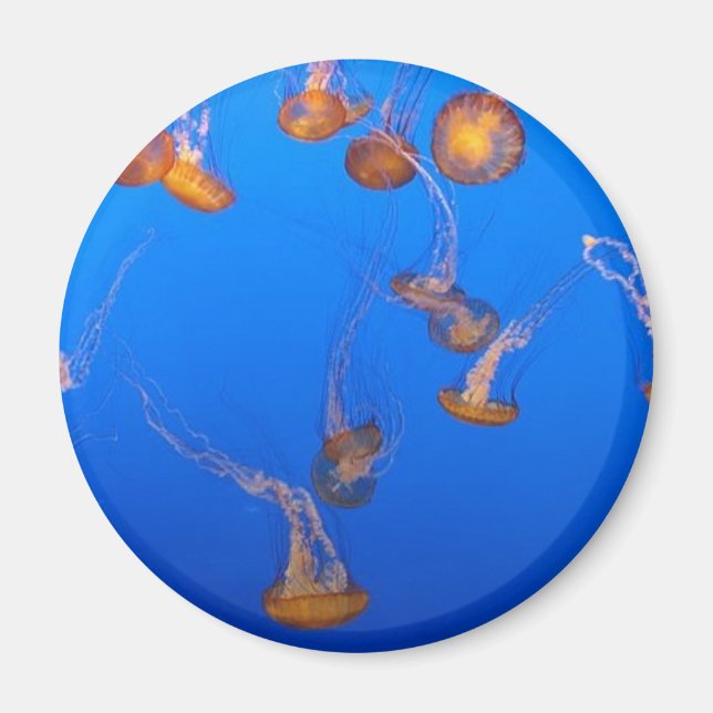 Orange Jellyfish Magnet (Framsidan)