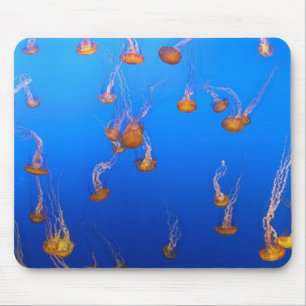 Orange Jellyfish Mouse Pad Musmatta