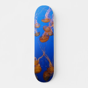 Orange Jellyfish Skateboard Bräda 21,5 Cm