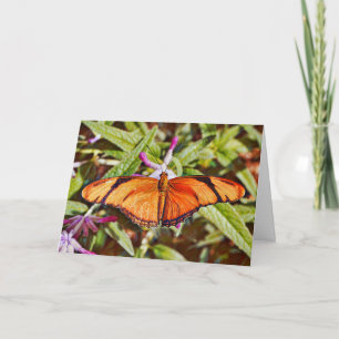 Orange Julia Butterfly Birthday Card Kort