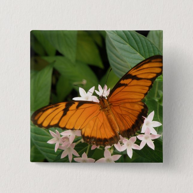 Orange Julia Butterfly Button Knapp (Framsida)