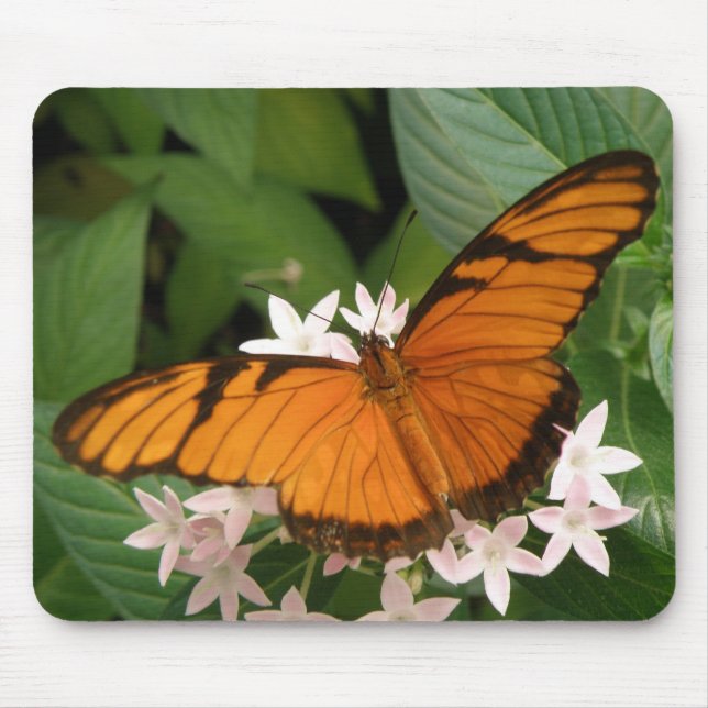 Orange Julia Butterfly Mousepad Musmatta (Framsidan)