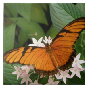 Orange Julia Butterfly Tile Kakelplatta