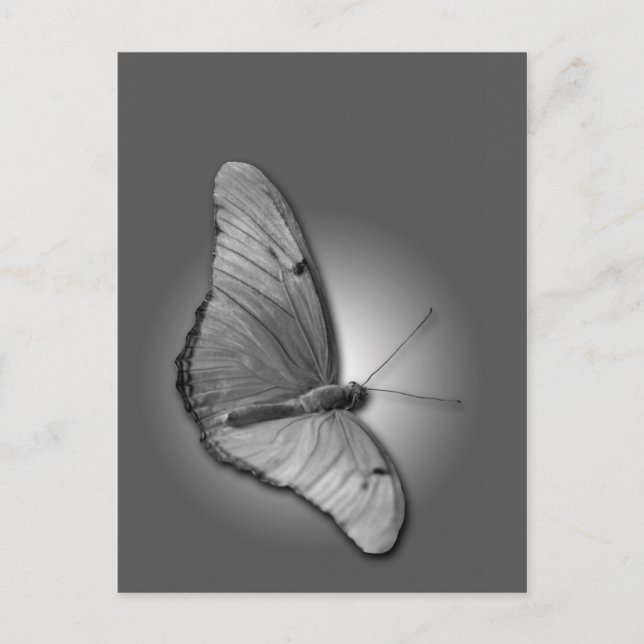 Orange Julia Vykort (Framsida)