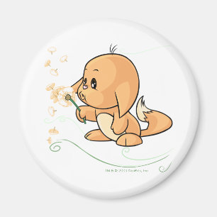 Orange Kacheek som önskar på en maskros Magnet