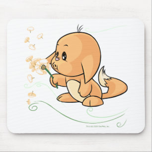 Orange Kacheek som önskar på en maskros Musmatta