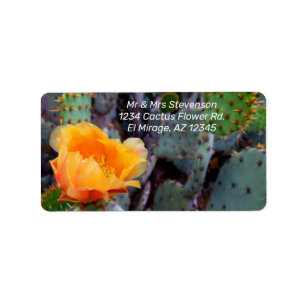 Orange Kactus Flower Blommar Prickly Pear Opuntia Adressetikett