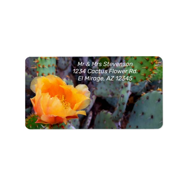 Orange Kactus Flower Blommar Prickly Pear Opuntia Adressetikett (Framsidan)