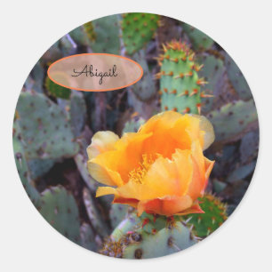 Orange Kactus Flower Blommar Prickly Pear Opuntia Runt Klistermärke