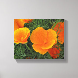 Orange Kalifornien blommor Canvastryck