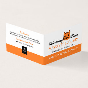 Orange Kat, veterinär, veterinärinformation Visitkort