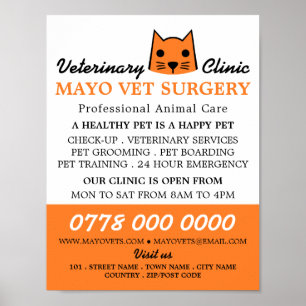 Orange Kat, veterinär, veterinärtjänst Poster