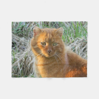 orange katt fleecefilt