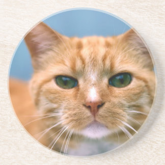 Orange katt för Tabbykattungekattunge Underlägg