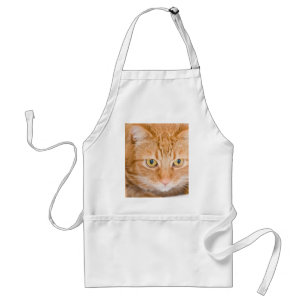 Orange katt förkläde