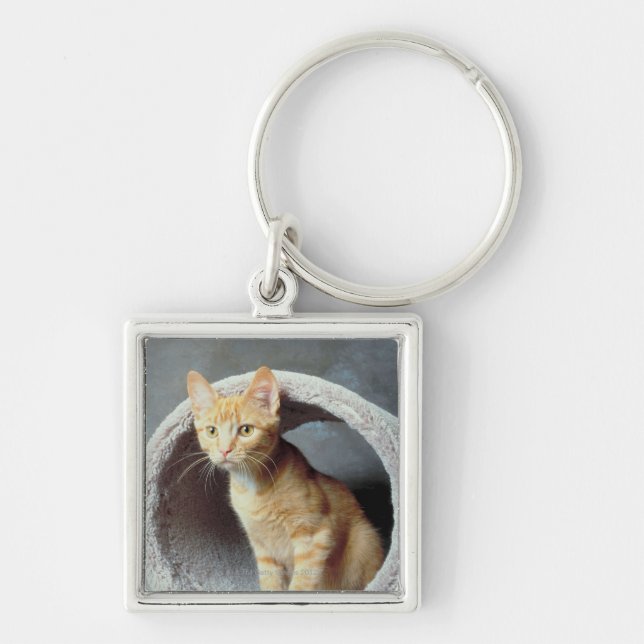 Orange katt i leksak fyrkantig silverfärgad nyckelring (Framsidan)