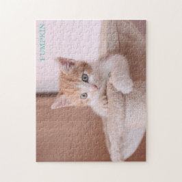 Orange Katt i Träd/Orange Kitten Pussel