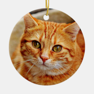Orange Katt Julgransprydnad Keramik