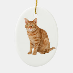 Orange katt julgransprydnad keramik