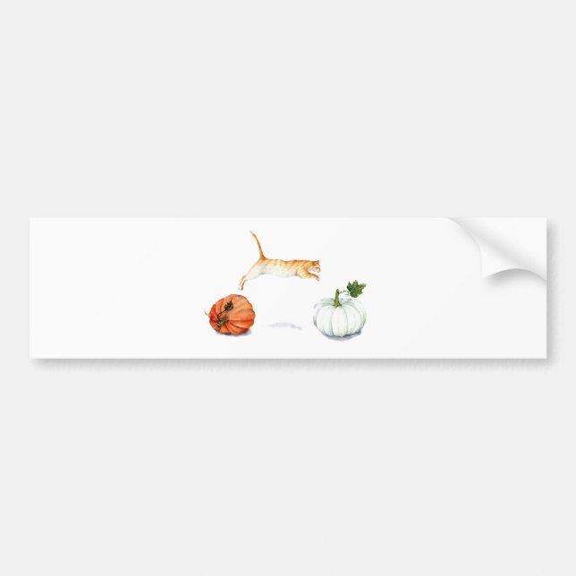 Orange Katt-jumpning mellan pumpor Bildekal (Framsidan)