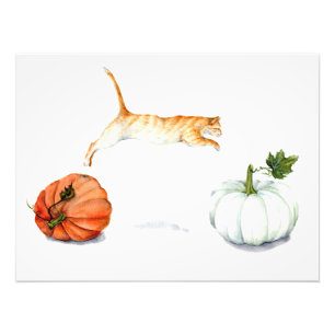 Orange Katt-jumpning mellan pumpor Fototryck