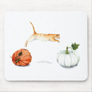 Orange Katt-jumpning mellan pumpor Musmatta