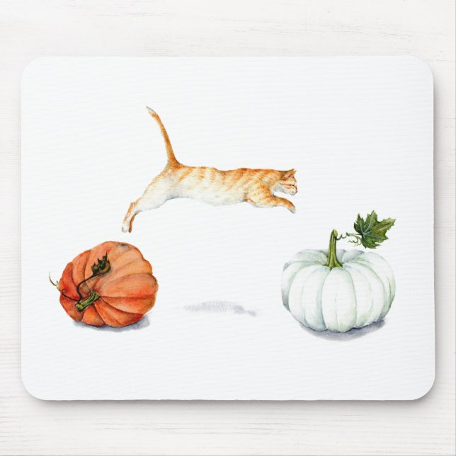 Orange Katt-jumpning mellan pumpor Musmatta (Framsidan)