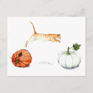 Orange Katt-jumpning mellan pumpor Vykort