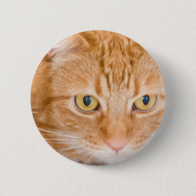Orange katt knapp (Framsida)
