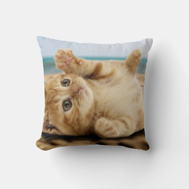 Orange katt ljugande på sand kudde (Framsida)