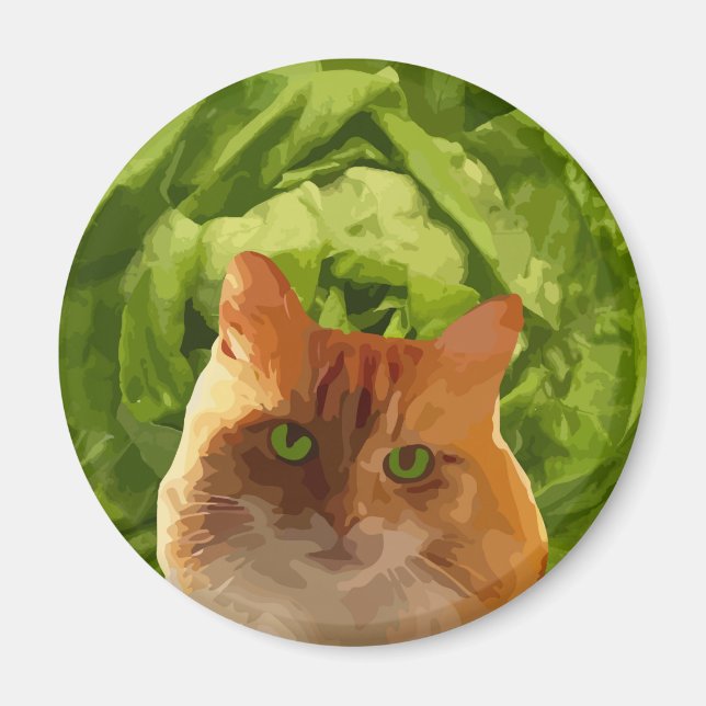 Orange Katt Magnet (Framsidan)