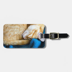 Orange-katt med filt bagagebricka