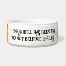 Orange Katt med stripe har Matats