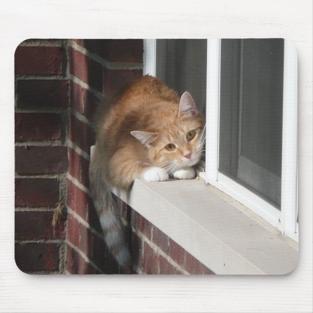 Orange katt musmatta (Framsidan)