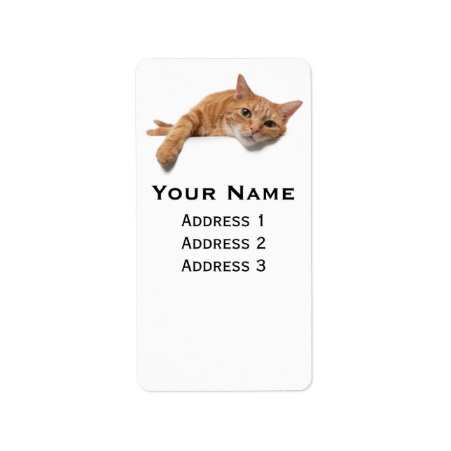 Orange Katt, nedåt Adressetikett (Framsidan)