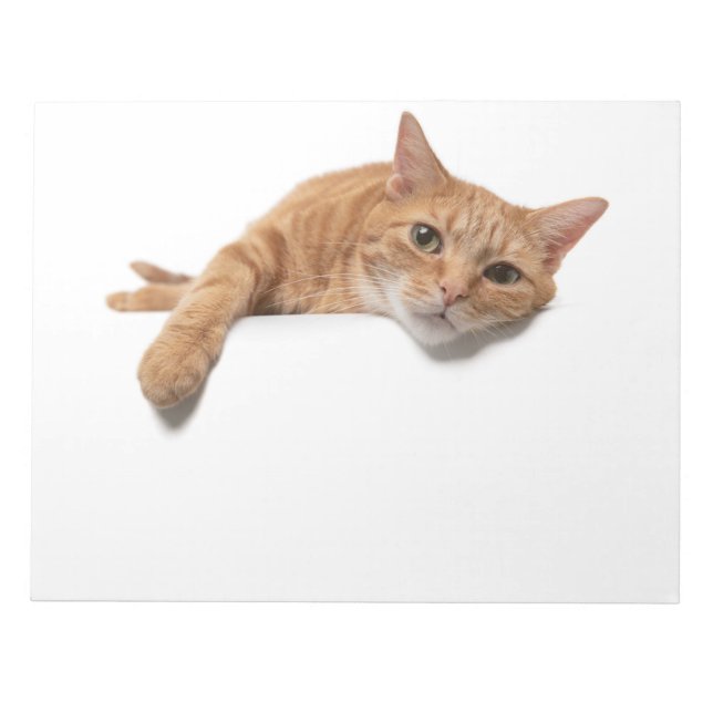 Orange Katt, nedåt Anteckningsblock (Framsida)