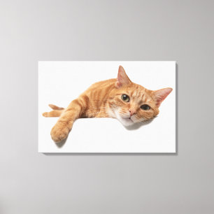 Orange Katt, nedåt Canvastryck