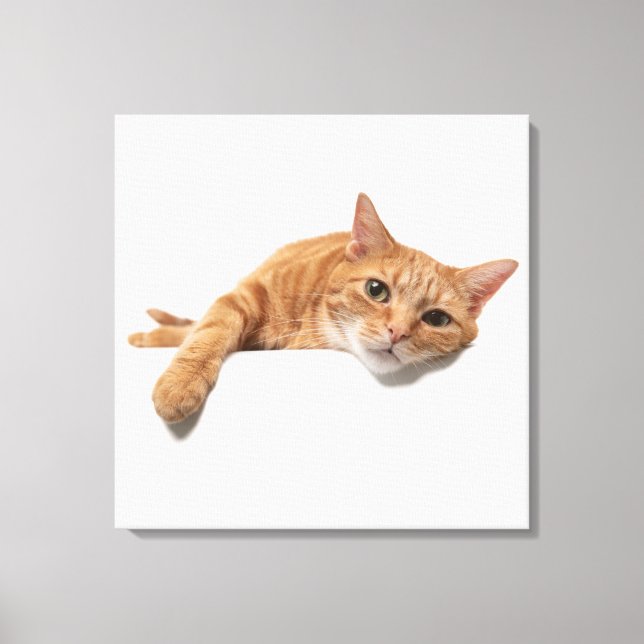 Orange Katt, nedåt Canvastryck (Framsida)